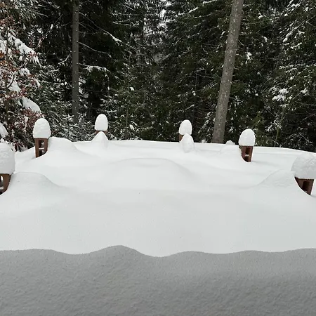 Chalet Drevenica Donovaly